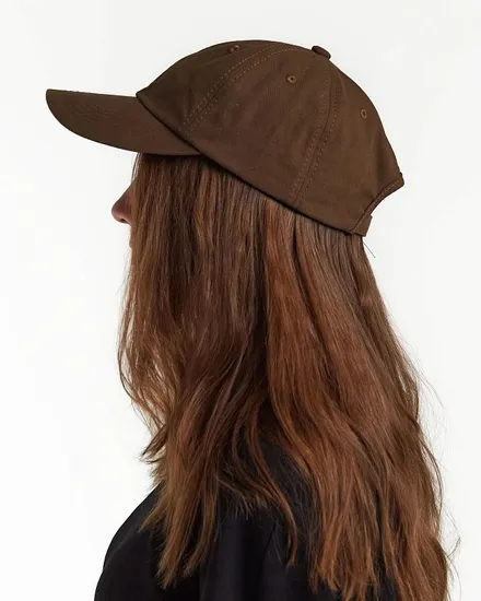 Кепка Anteater 6 Panel Brown