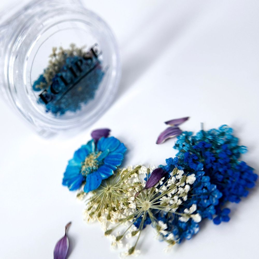 Декор в банке Сухоцветы №4(215) сине-голубой ECLIPSE