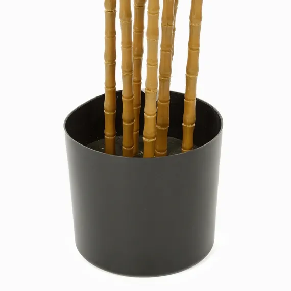 Бамбук высота 210 см, 5 стволов