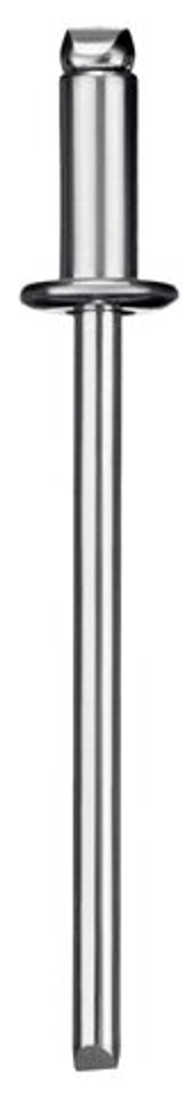 ЗУБР 4.0 x 12 мм, 50 шт, стальные заклепки, Профессионал (313126-40-12)