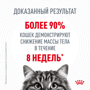 Сухой корм Royal Canin Light Weight Care для взрослых кошек для профилактики лишнего веса