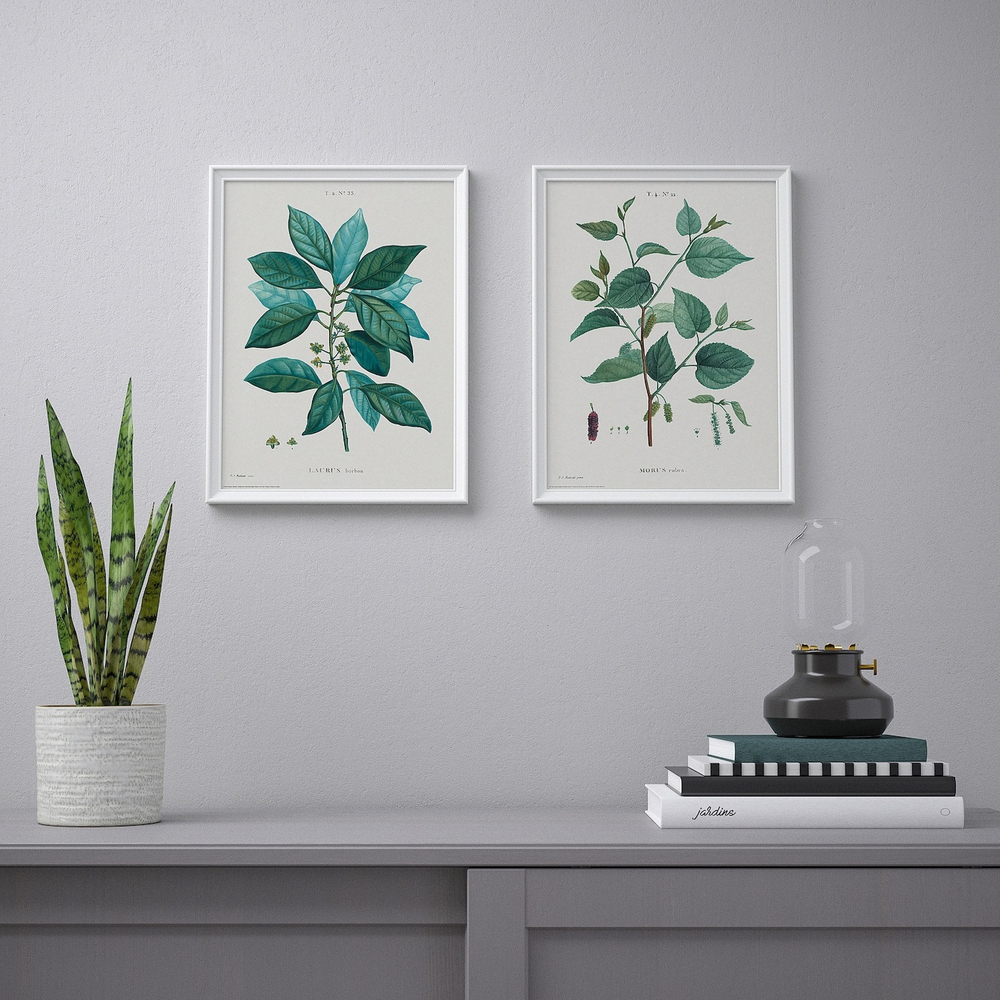 IKEA BILD  (ИКЕА БИЛД)  -  Плакат, Ботанический этюд I, 30x40 см.