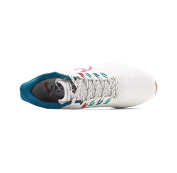 Мужские кроссовки Nike Air Zoom Pegasus 39 'White Red Teal' FD4322-161