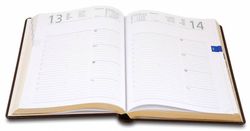 Ежедневник Letts GLOBAL DELUXE A5 натуральная кожа 412 127243