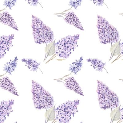 Душистая сирень на белом / Fragrant lilac on white