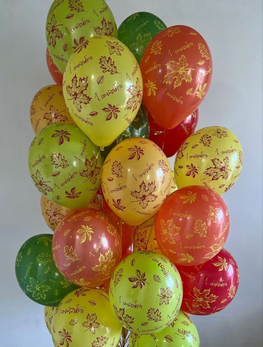 Шары с надписью «1 сентября» и осенними листьями в осенней палитре  Изображение2