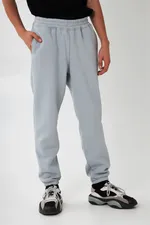 Спортивные штаны Helgi Ingvarr Серые