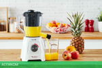 Блендер Moulinex Blendforce Powelix (LM42Q110)
