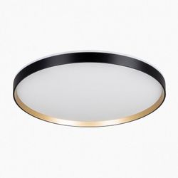 Накладной светильник Citilux ETALON CL750501R