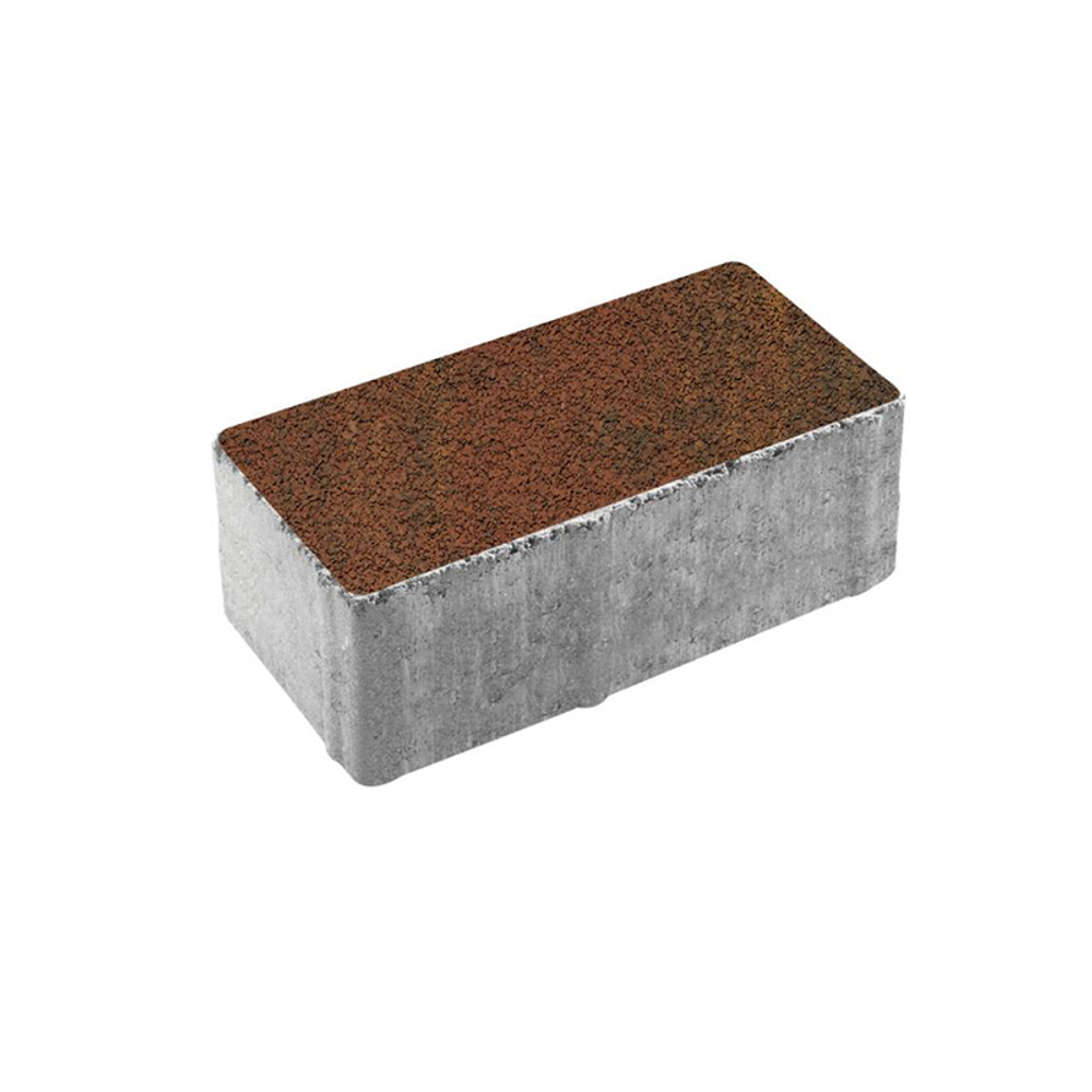 Тротуарная плитка ПРЯМОУГОЛЬНИК 200x100 мм - Листопад гранит Арабская ночь