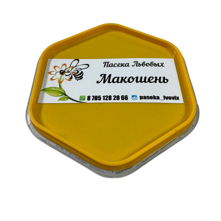 Макошень Пасека Львовых