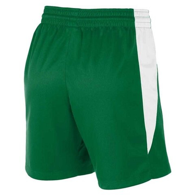 Баскетбольные женские шорты Nike Womens Team Basketball Stock 20 Shorts Green