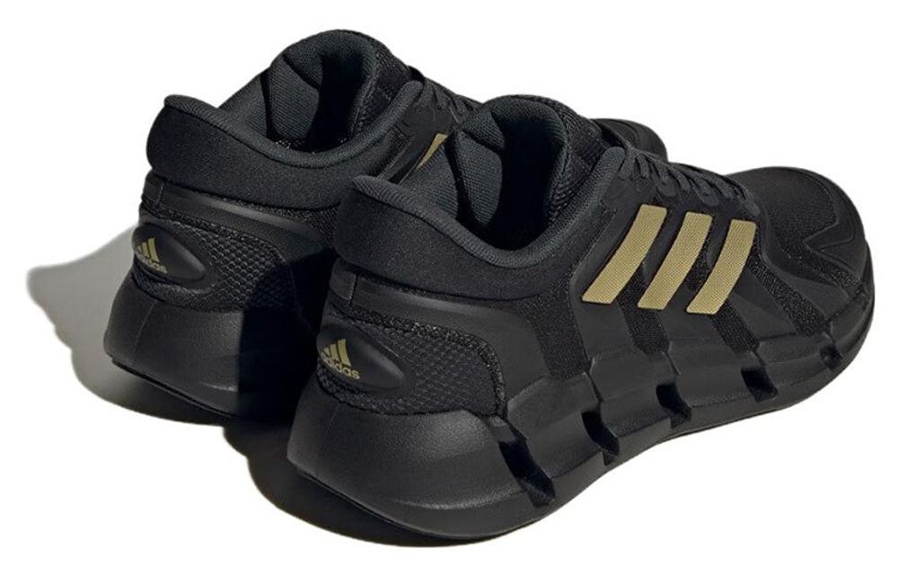 Кроссовки Adidas Climacool