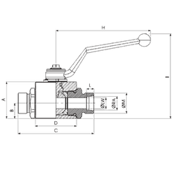 Кран 2-х ходовой шаровый M30x2 22L DN 20 P=400 с отверстиями для монтажа