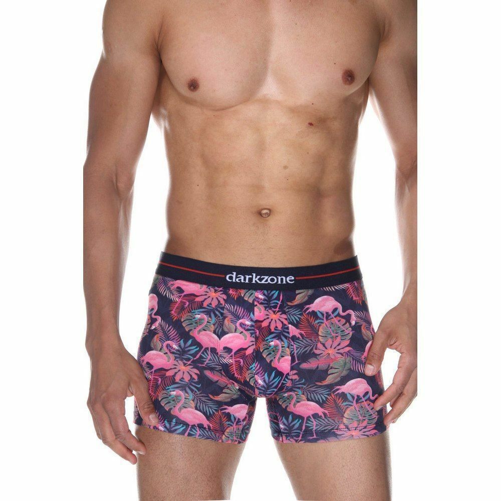 Трусы мужские боксеры разноцветные DARKZONE DZN2062