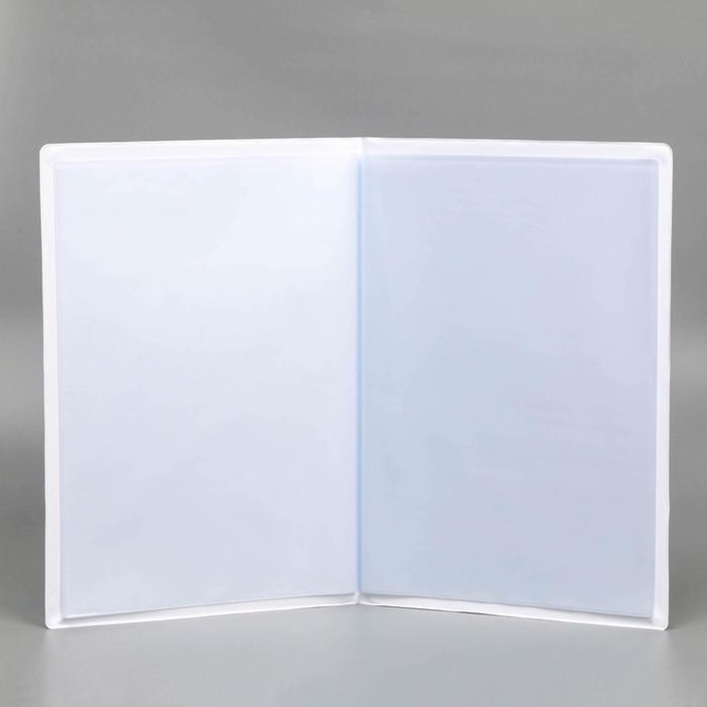 5365300 Папка для документов «Docs», 12 файлов, 4 комплекта, А4