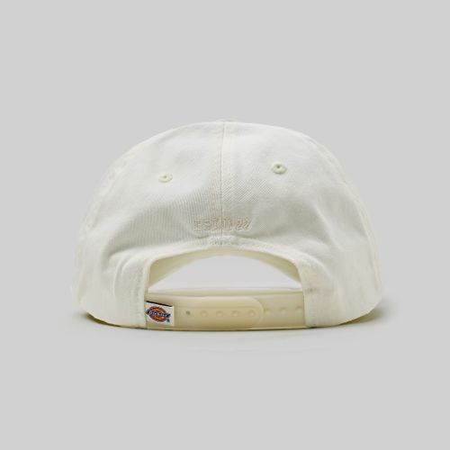 Кепка Dickies Hardwick 6 Panel Logo артикул:DK0A4TKVC581 - купить в магазине Дайс