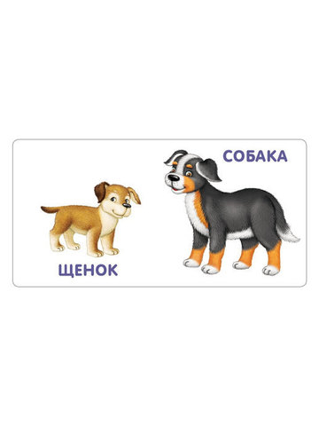 Книжки - картонки. Малыши и мамы