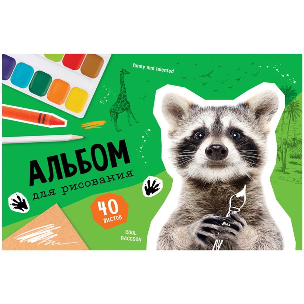 Альбом для рисования 40 л А4 Спейс Животные Cool raccoon на скрепке