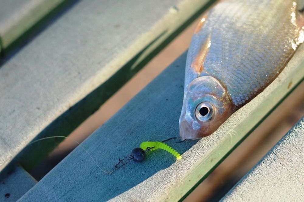 Слаги съедобные LJ Pro Series King Leech 2in (5 см), набор, 9шт/уп, арт 140152-MIX1