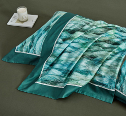 Постельное белье 2 спальное евро Asabella 2200-6