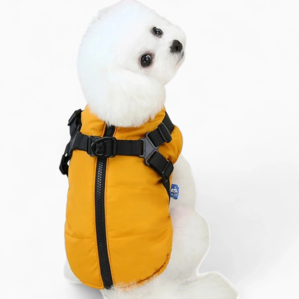 Жилетка «Elfidog»