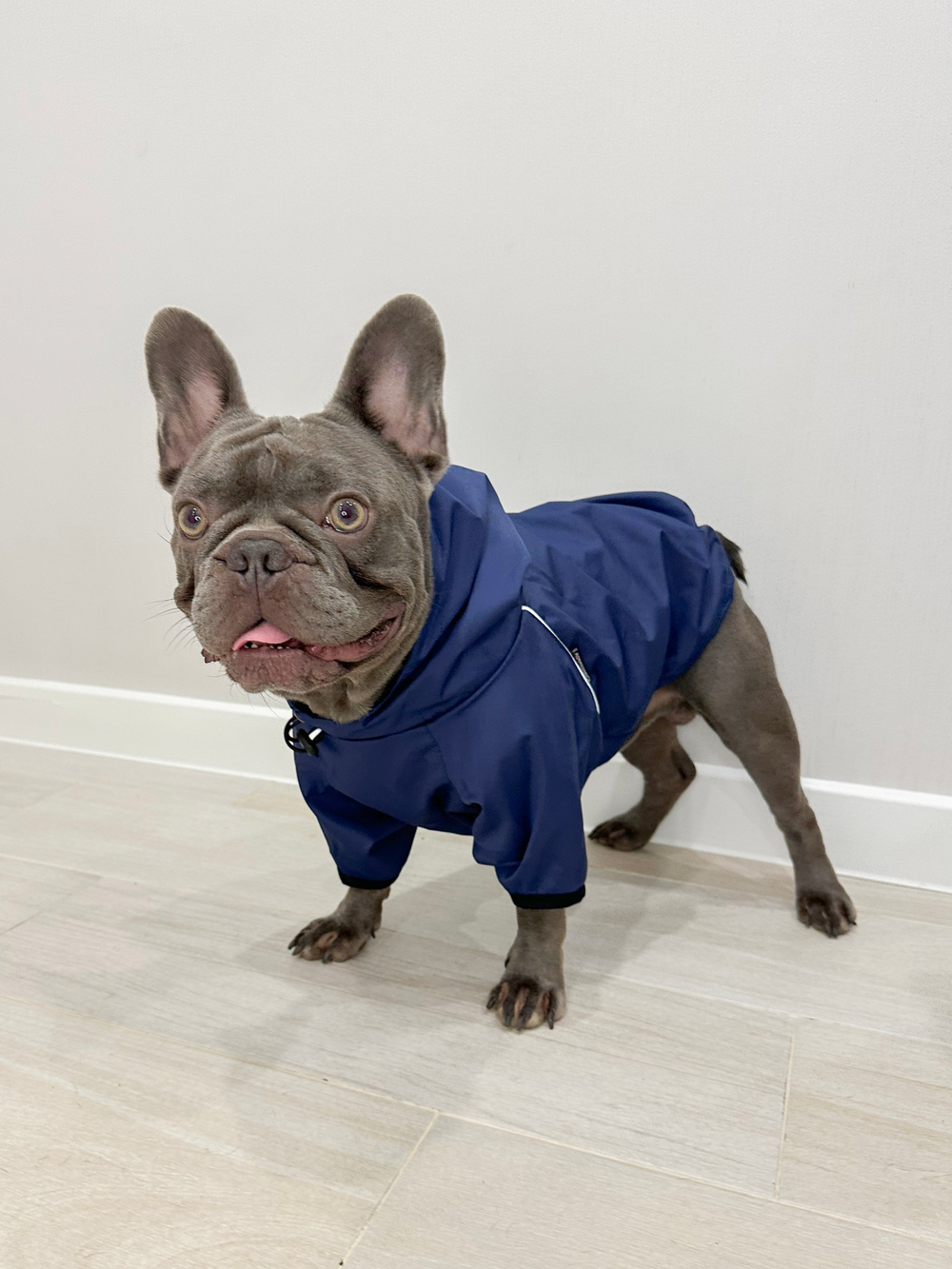 Универсальная куртка дождевик для собак Монморанси, цвет олива, размер L