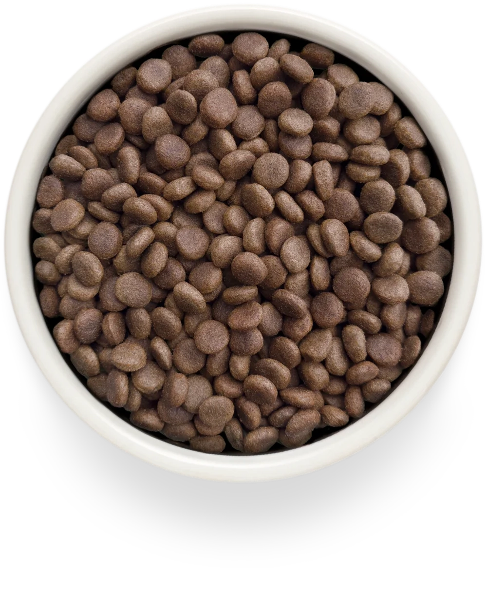 Grandorf HEPATIC, Gluten & Grain Free, Veterinary Diet (Turkey)