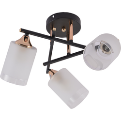 Люстра Rivoli Fiona 3163-303 3 х Е27 60 Вт модерн | Rivoli