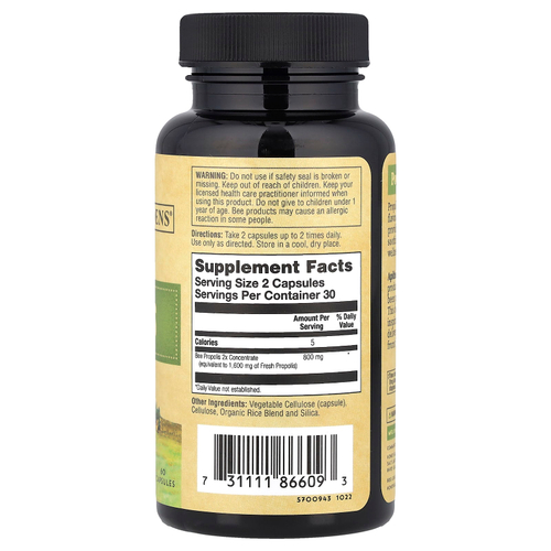 Zand, Пчелиный прополис, 2x эффективность, 60 капсул (400 мг на капсулу)