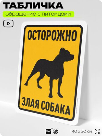 Табличка "Осторожно, злая собака" на дверь и забор, для двора, дома, подъезда, 40х30 см, Silver Plane x Айдентика Технолоджи