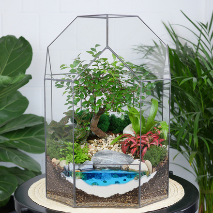 Готовый флорариум бонсай Японский вяз Бонсариум XL с озером