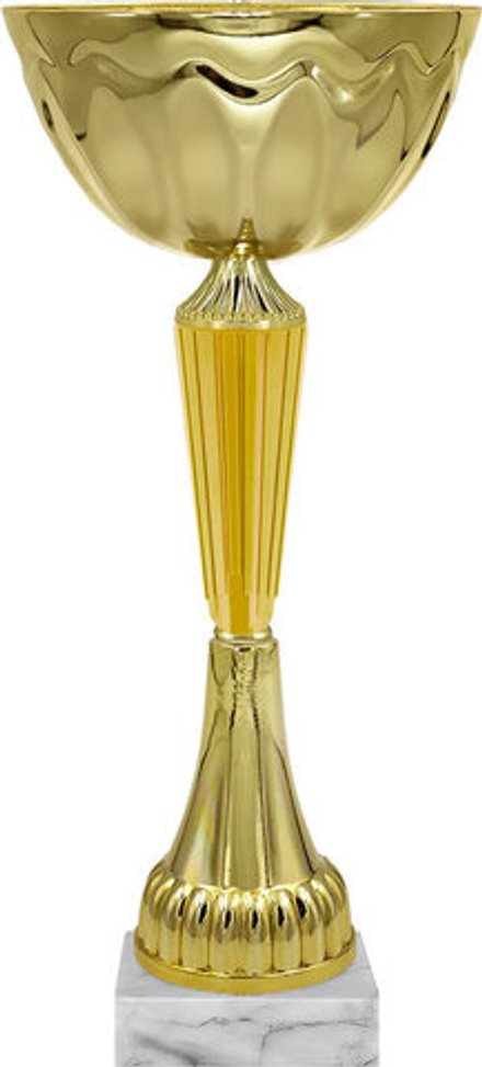 Кубок "Фима"