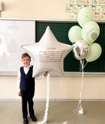шары на 1 сентября в стиле тетрадки, фольгированная звезда и фисташковые латексные шары, мальчик в классе