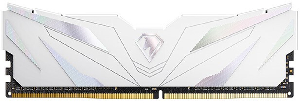 Модуль памяти DDR5 16GB Netac NTSWD5P48SP-16W