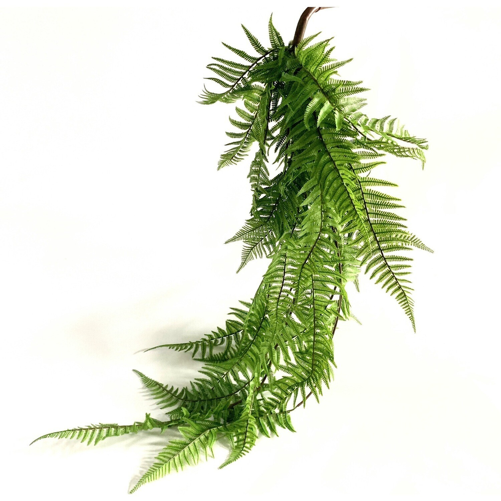 Папоротник чешуйчатые листья СМ 120см