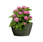 Кашпо, коллекция Surface, форма BOWL