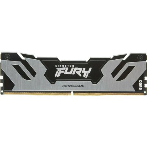 Оперативная память Kingston Fury Renegade Silver KF560C32RS-48
