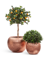 хххКашпо TREEZ Effectory Metal Полусфера Чеканная Розовая медь д-40 см, в-32 см 41.3318-04-017-RS/C-40