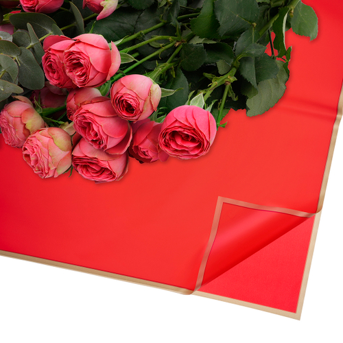 Упаковочная пленка 53мкр (0,57*0,57 м) Золотистая кайма, Красный, Матовый, 1 шт.