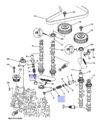 Маслосъемный колпачек