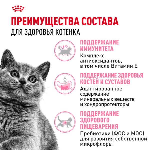 Сухой корм Royal Canin British Shorthair Kitten для британских короткошерстных котят