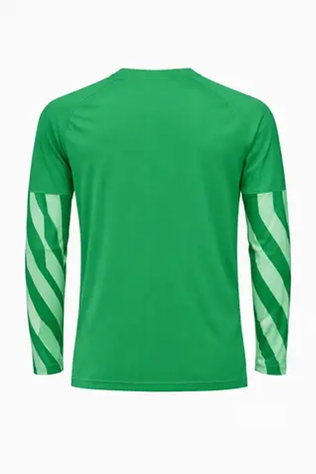 Вратарская кофта Nike Dri-FIT Park V GK Детская - зеленый