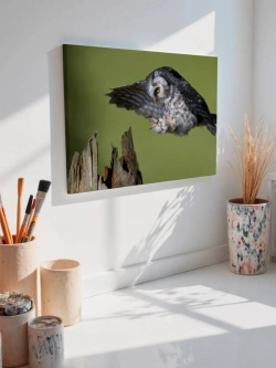 Картина на стену 40 X 50 Сова