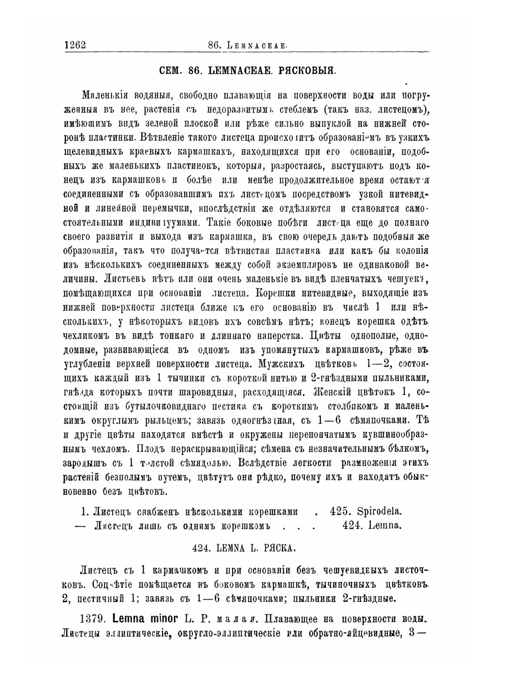 Флора Алтая и Томской губернии. Том 6. Typhaceae-Cyperaceae | П. Н. Крылов