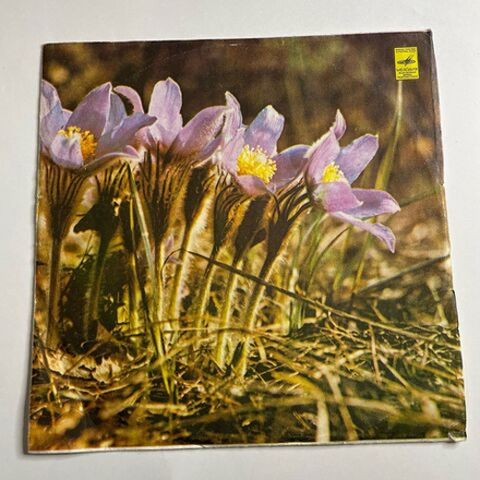 Винтажная виниловая пластинка LP Александр Аверкин Песни (СССР 1975)