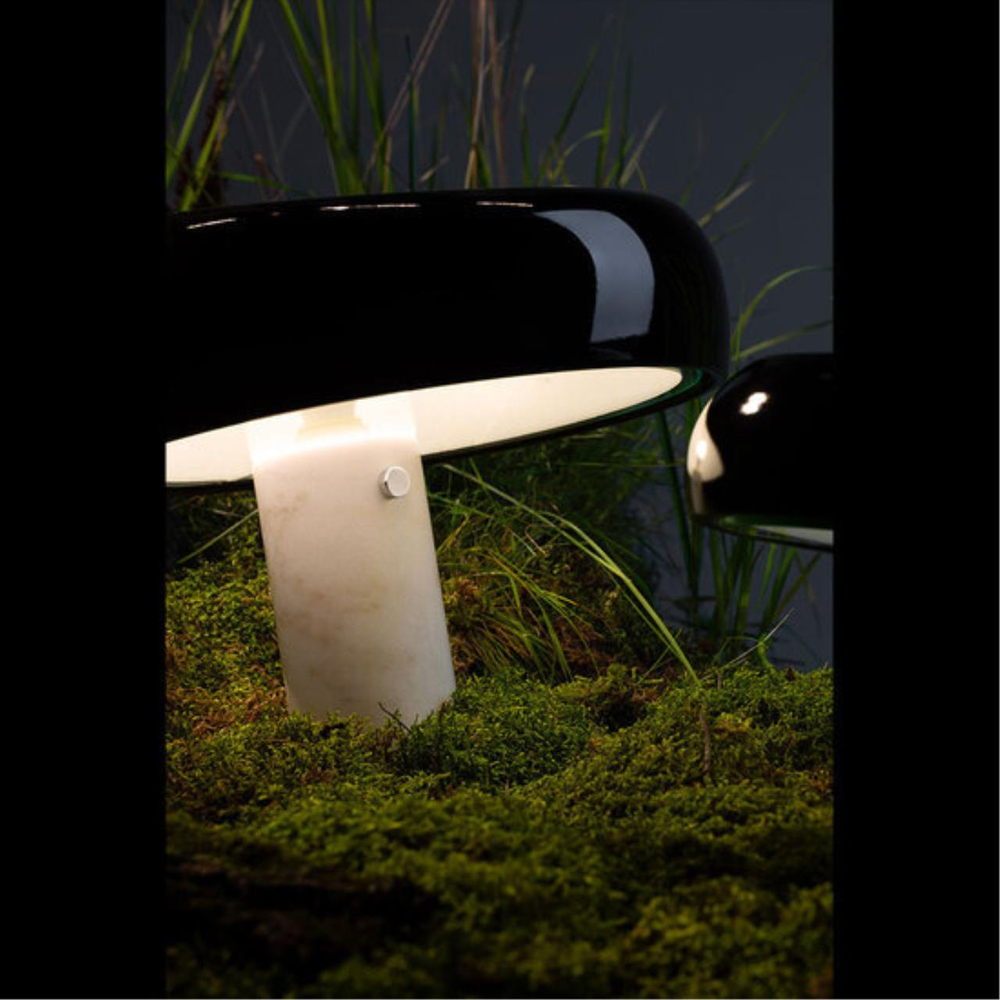 Настольная лампа Divinare DENTON 1083/06 TL-2