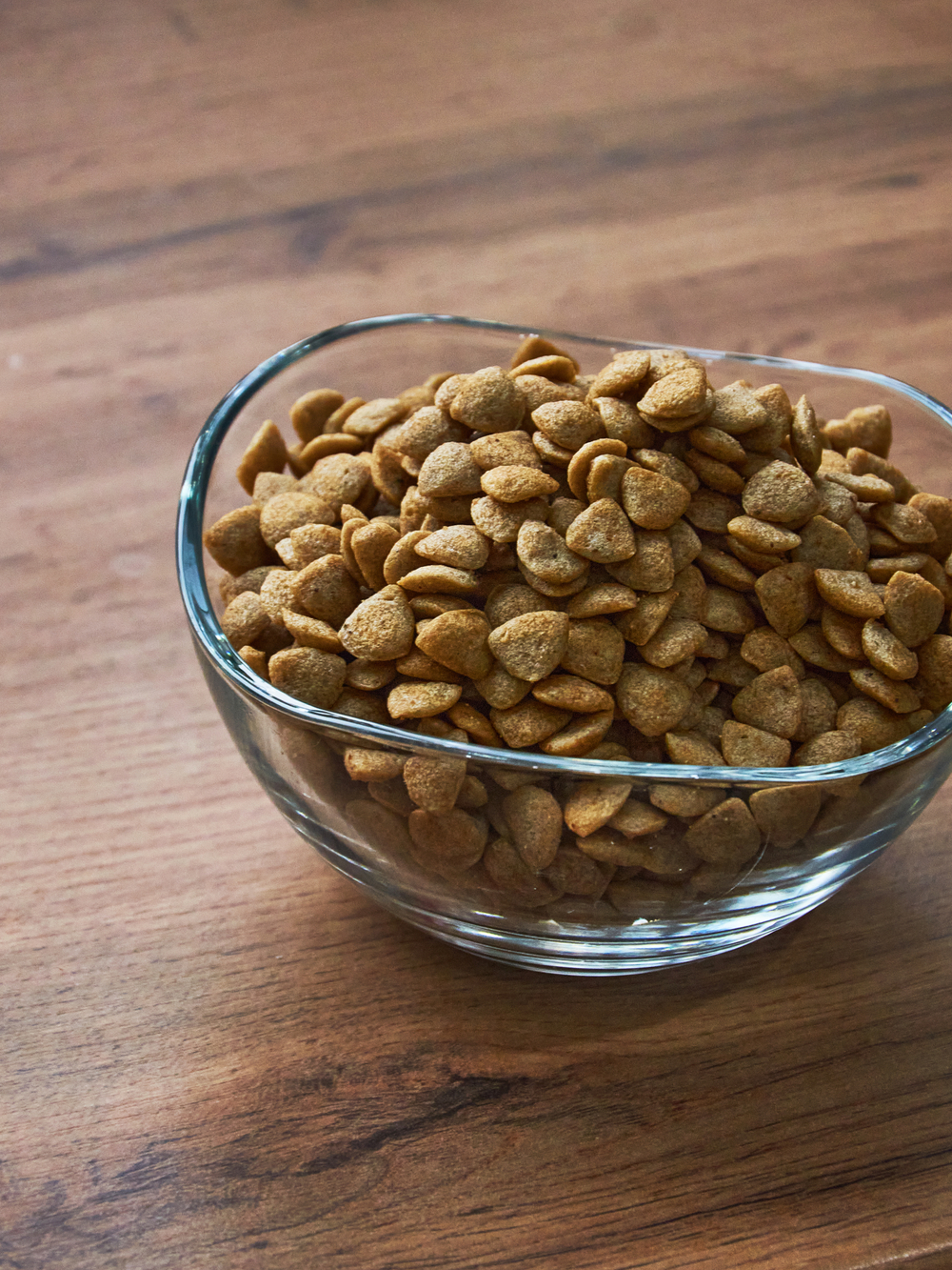 Сухой корм для стерилизованных кошек "Shaman" Индейка 10 кг; Класс Холистик (Holistic) для взрослых котов и кошек