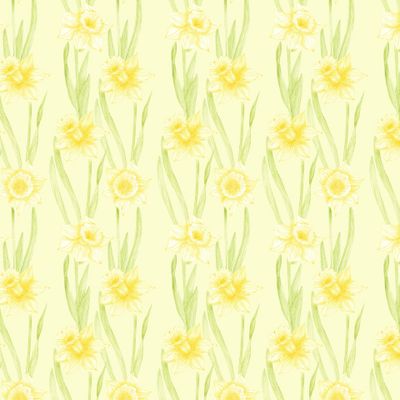 Желтые нарциссы