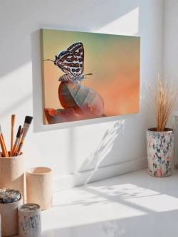 Картина на стену 40 X 50 Бабочка